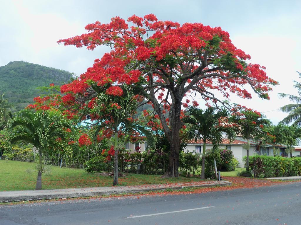 Coral Sands Apartments Rarotonga Exteriér fotografie