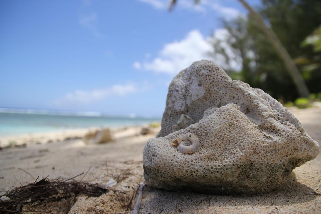 Coral Sands Apartments Rarotonga Exteriér fotografie